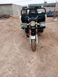 ستوته • موديل 2021 • أوراق كاملة