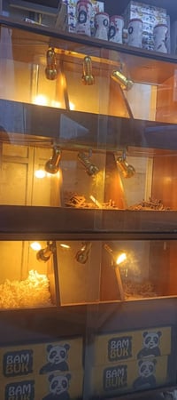 مكينه حب و جام خانه عرض كرزات للبيع واتساب 07719875863