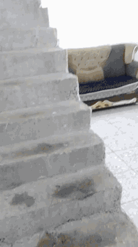 سلام عليكم بيت تشجير  مساحه ١١٥ بنص الطابو  ركن العنوان العبيدي  الرئاسه شارع عشرين قرب فران الزيتون  سعر ٨٥/، رقمي ***********//رقمي الثاني ***********
