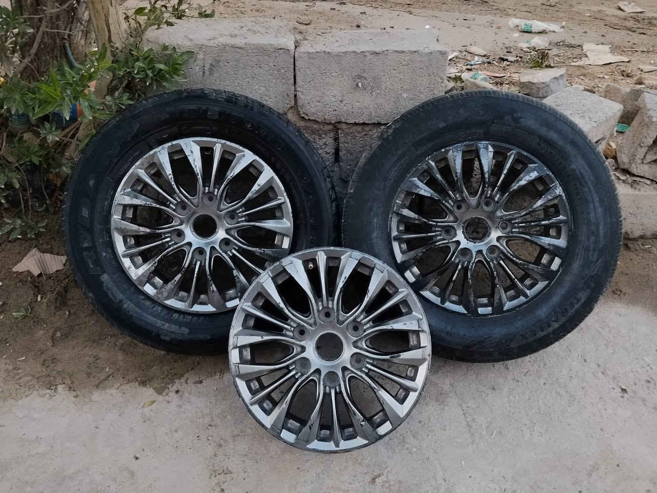 السلام عليكم ويل ستاركس للبيع مال مفتوح السعر150 وبي مجال المكان بصره الهارثه الاتصال على هذا الرقمم ***********
