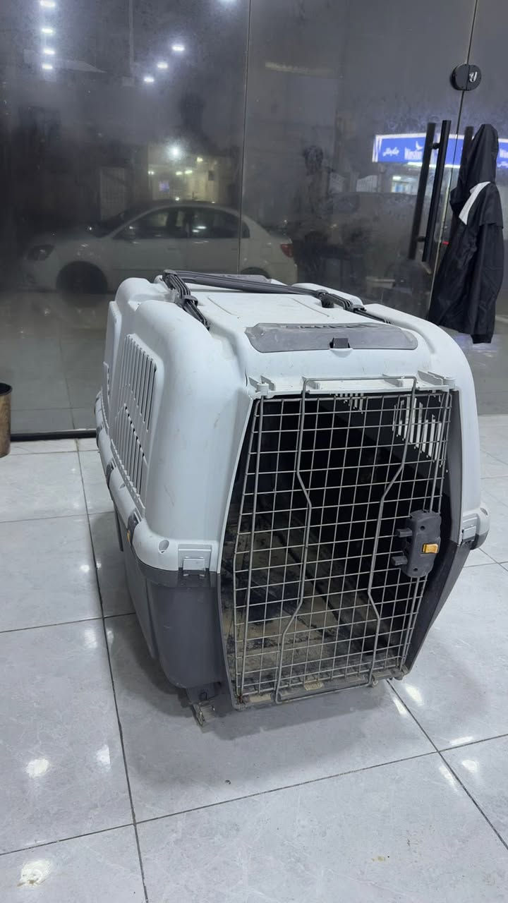 السلام عليكم 
قفص حيوانات كبير ( للكلاب )
جايبه من اوروبا نظيف 
قيم واخذ.


**إذا كنت صاحب هذا الإعلان وتريد حذفه لأي سبب، رجاءا أرسل رسالة إلى الدعم الفني**