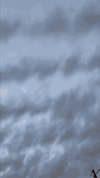 السلام عليكم   السعر 150 وبي مجال قليل
البايسكل للبيع مايحتاج اشرح كلشي كدام العين مرتب ونضيف بس ما مغسول بي عداد سرعه وبك لايت ولايات امامي ومطاره بايسكل مايعوزه كلشي ربع ما تصرف علي البايسكل المنيوم كله موجود خاص وموجود رقم *********** توصيل محافضات موجود مكاني موصل 🤍
