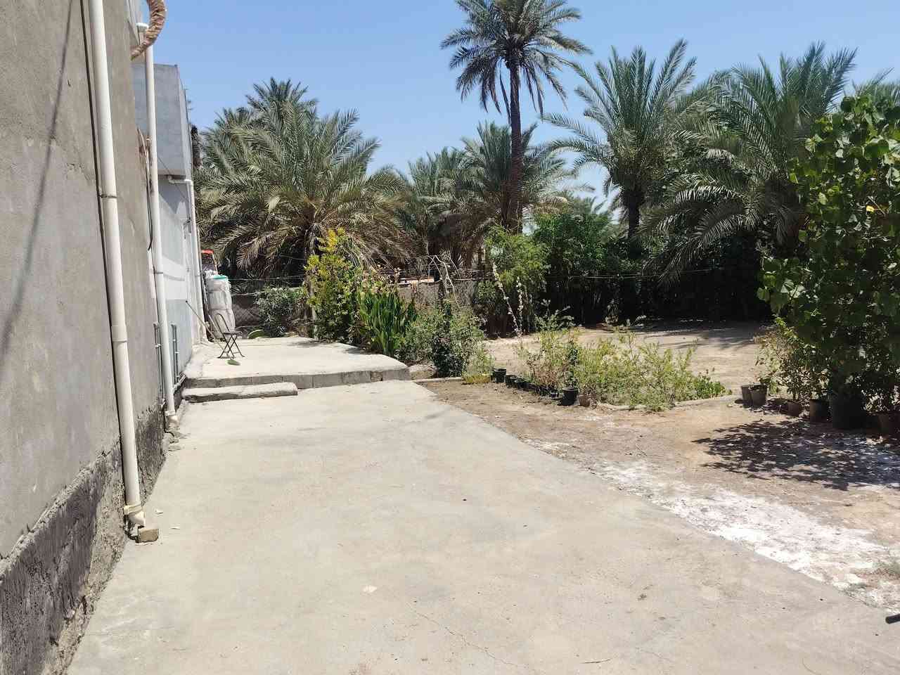 دار للبيع المساحه ٢٠٠ متر +قطعه مشجره ضمن البيت ٢٠٠متر المساحه الكليه ٤٠٠متر بناء حديث بناء ٢٠٢٤ الموقع شارع المشجر ورديه خارج للاستفسار ***********
