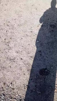 شيري تيكو • ٢٠١٤ • رقم دهوك