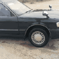 ارنب • ١٩٩٣ • واسط الزبيديه