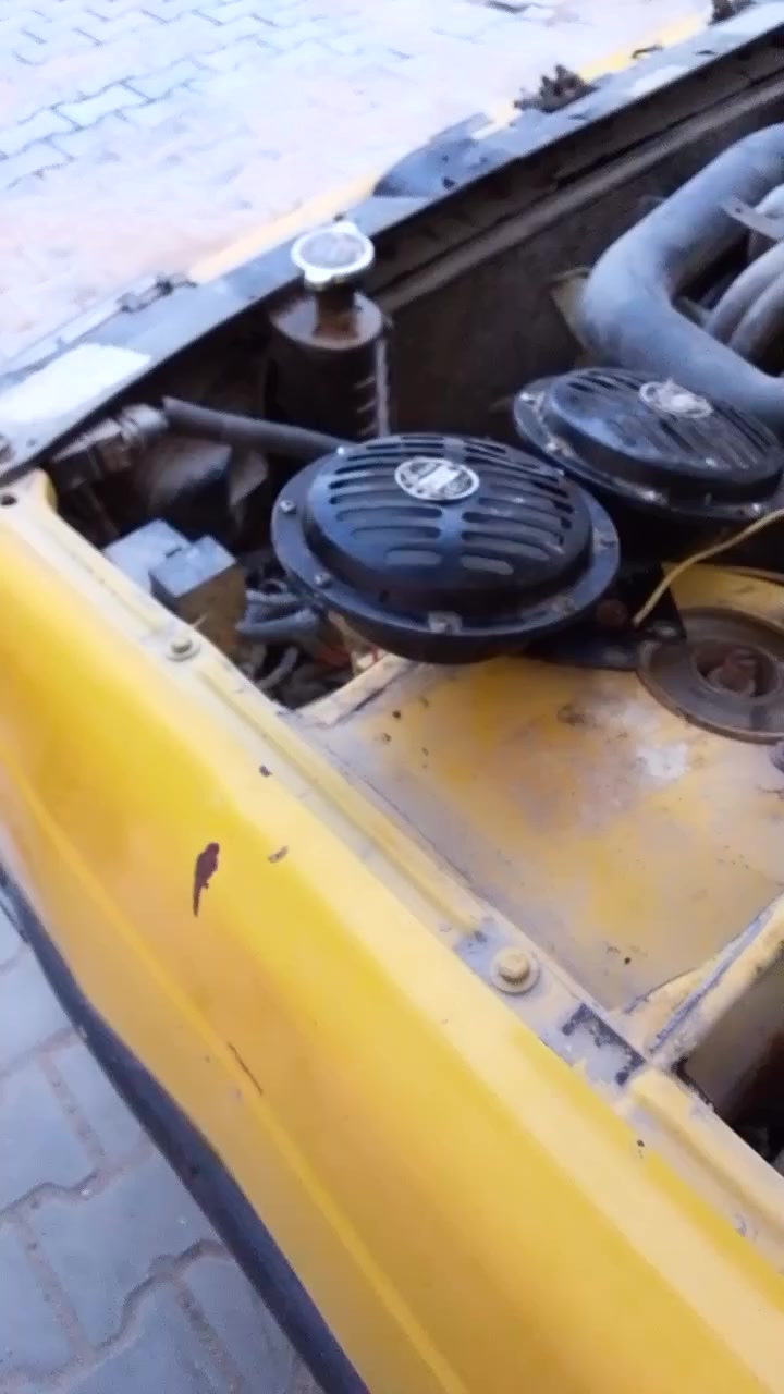 هورنات بوش للبيع  دكتهن قويه سعرهن ٢٠ بيهن مجال للشراي مكان سماوه


**إذا كنت صاحب هذا الإعلان وتريد حذفه لأي سبب، رجاءا أرسل رسالة إلى الدعم الفني**