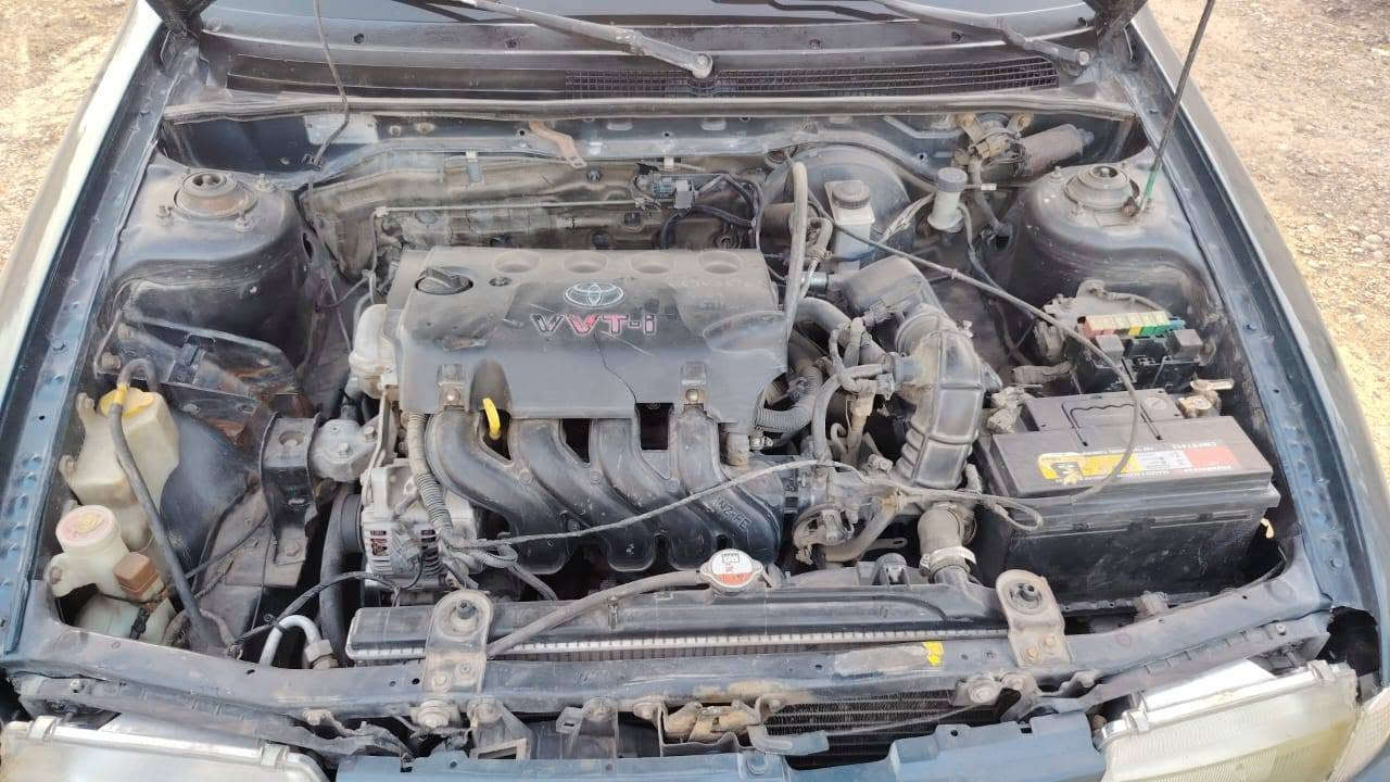 سلام عليكم كيا سفيا لبيع موديل 94مكينه كورلا 1600سياره جاهزه من كلشي تبريد تتفئه رقم انكليزي بغداد باسمي ثاني يوم تحويل هزه جديده قبل شهر هزيتها سياره مصبوغه عام بدون ضربه شرط ترايك البصره  السعر 40👍🏻
رقم هاتف *********** كورك***********
سلام عليكم كيا سفيا لبيع موديل 94مكينه كورلا 1600سياره جاهزه من كلشي تبريد تتفئه رقم انكليزي بغداد باسمي ثاني يوم تحويل هزه جديده قبل شهر هزيتها سياره مصبوغه عام بدون ضربه شرط ترايك البصره  السعر 40👍🏻
