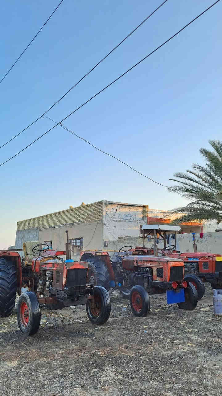 مكان واسط قضاء الحي 

شراي يتصل

 /***********

  ***********
