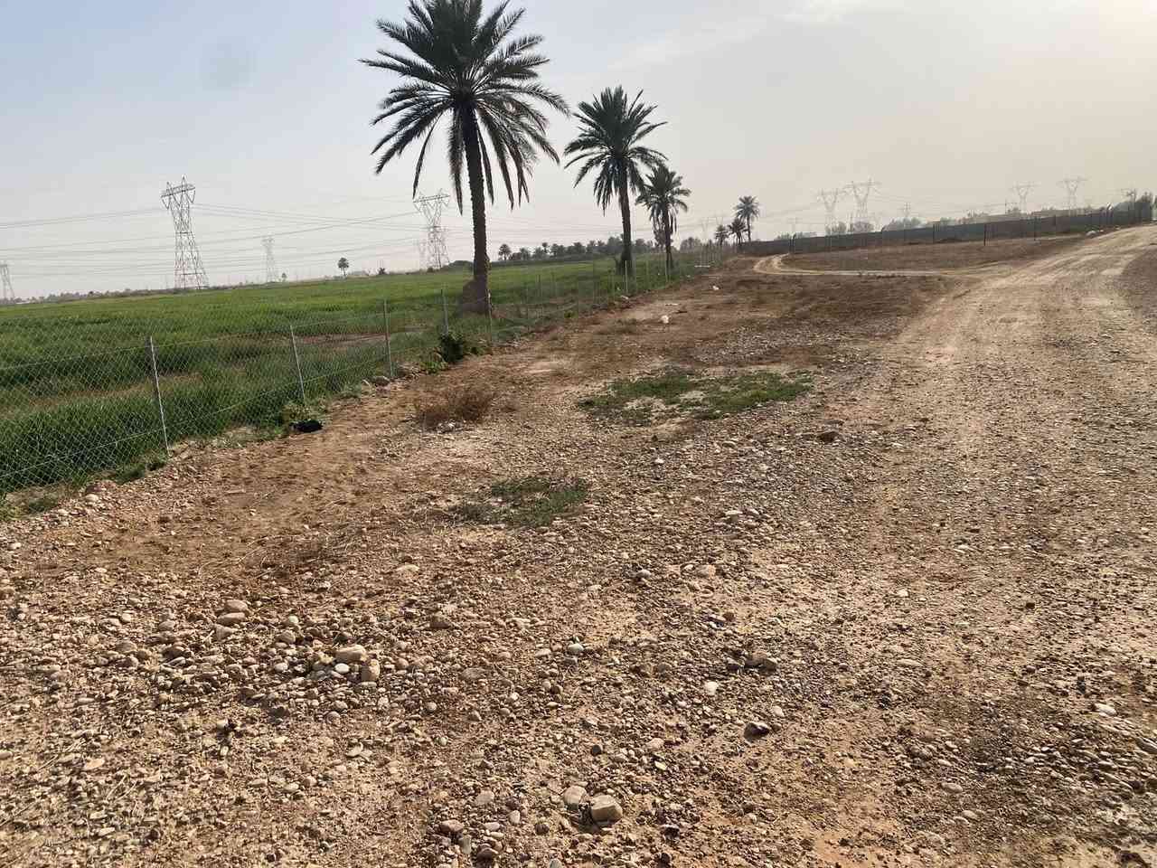 السلام عليكم 

متوفر دوانم للبيع في النهروان منطقة الخنساء

جميع الدوانم عقد 117 

جميع الدوانم مسيجة بالكامل بسياج بي ار سي

متوفر كهرباء و ماء سقي 

1- دونم و 800 متر السعر 35 مليون 

2- دوم مع بيت مساحه 50 متر يحتوي على غرفه وصالة و مطبخ و حمام السعر 55 مليون

3- اربع دوانم سعر الدونم 30 مليون

للتواصل 

0773 110 0426

0781 369 0917
