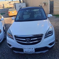 شنجان 2019لبيع فول مواصفات مكفوله من صبغ  07707996243 اكرم