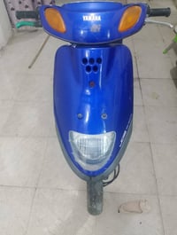 منغولي • نثيه • نضافه