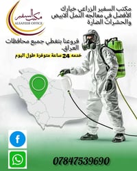 مكافحة حشرات • حشرة الأرضة • جميع المحافظات