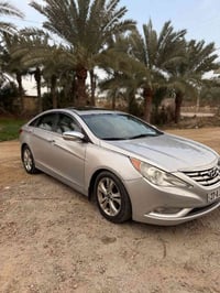 سوناته • ٢٠١٣ • وارد امريكي