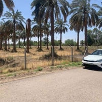 قضاء العزيزية • ١٠٤٣ دونم • طابو زراعي سند ٢٥