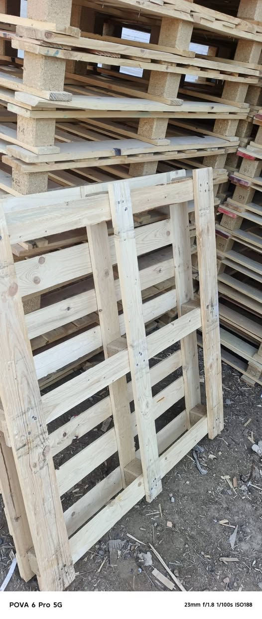 سكيب قياسات مختلفه قريب الستندر
115x98
100x115 العدد 200قطعه ابيعهن كلهن سعر الوحده 4ونص مطروح مكاني بغداد مدينه الصدر ***********
