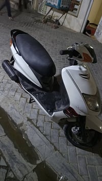 سكنس نثيه • ياباني • كلجات جديد