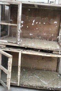 مدير الكروب • ٣ خانات • دورة بغداد