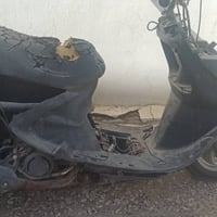 فراشه • فحل • بستم 55