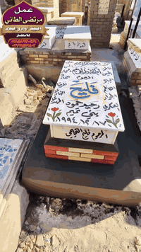 #بصرة #عمارة #ناصرية #حلة #نجف #بابل #ديوانية #سماوة #تواصل واتساب 
***********/ *********** مرتضى ابوكلل
