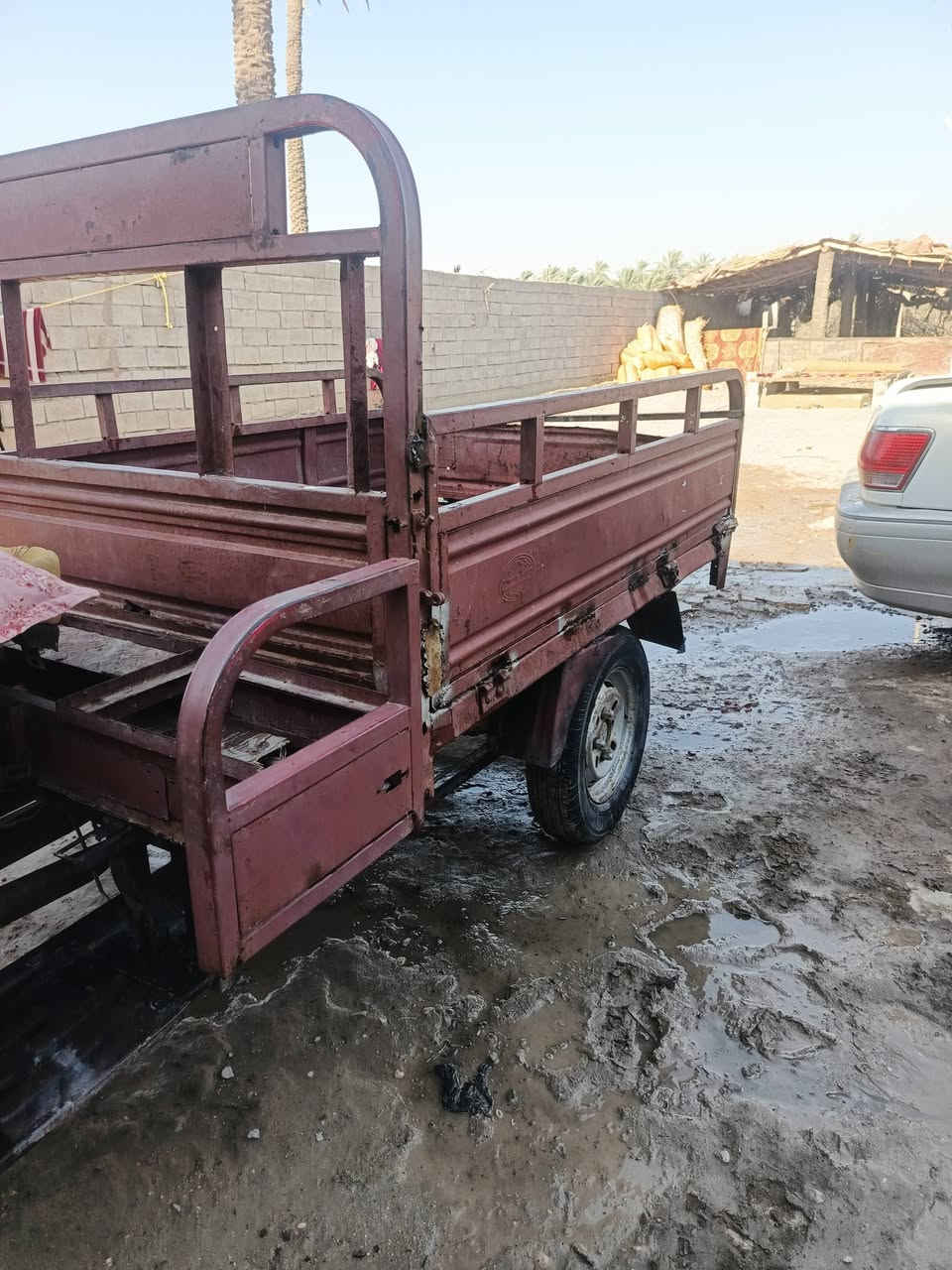 السلام عليكم ستوته صلطان بدون بدون
كفاله عشاير مكفوله من لحيم شاصي 
السعر 600 الستفسار  ‏‪***********‬‏
