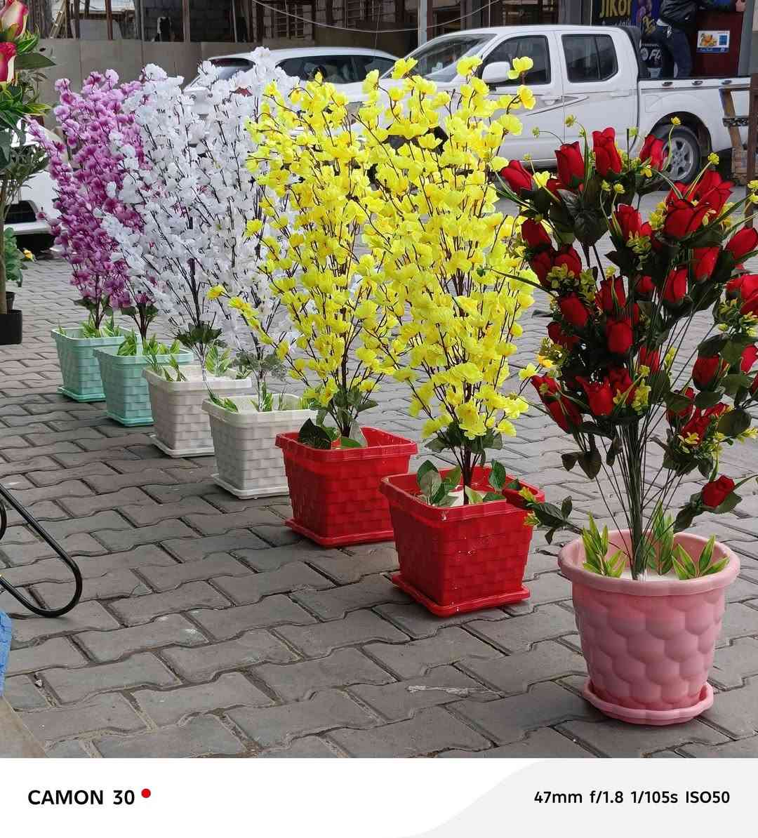 اشجار اصطناعية 🌴🌳🌲 لتزين بيتك 🌇🏠 بكل الاحجام و الأنواع ✅مرحبا بكم✅


**إذا كنت صاحب هذا الإعلان وتريد حذفه لأي سبب، رجاءا أرسل رسالة إلى الدعم الفني**