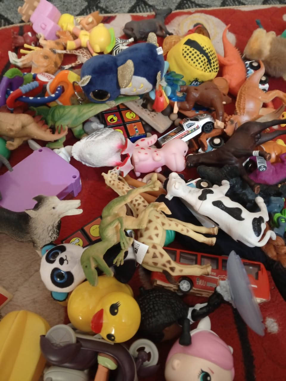 نواعم حيوانات سعر خاص


**إذا كنت صاحب هذا الإعلان وتريد حذفه لأي سبب، رجاءا أرسل رسالة إلى الدعم الفني**