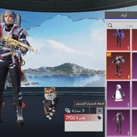 مستوى ٦٩ • بي كونكر • بدلات نادرة