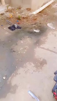 بايسكلات شحن • ٢ بايسكلات • بعقوبه ديالى