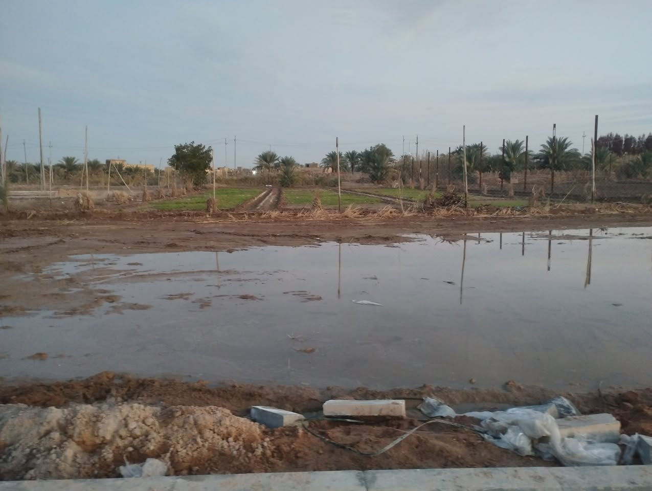 قطع زراعي سند 25 من مساحه 100متر الى 500متر خلف بانزين خانه مال الرميثه كافه الخدمات حتى تبليط وقريبه على الشارع العام مباشر وسعاره مناسبه ***********
