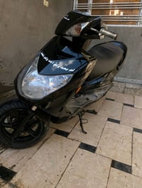 سكنس فحل • جكليتة • صافي