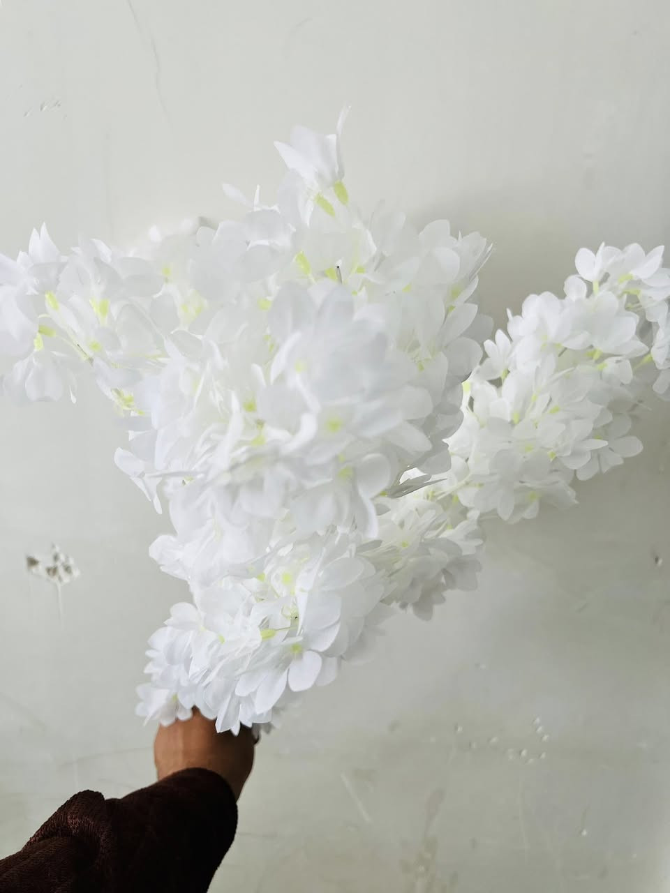 متوفر الان


**إذا كنت صاحب هذا الإعلان وتريد حذفه لأي سبب، رجاءا أرسل رسالة إلى الدعم الفني**