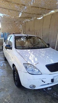 ٢٠١٤ • مكفوله ضربه وصبغ • نجف مداورة