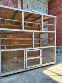 قفص • نضيف • فلوجه