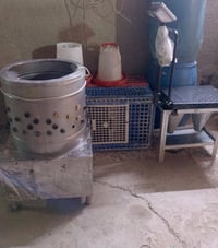 من رخصة الادمن غراض محل دجاج كاملة للبيع  07750322464