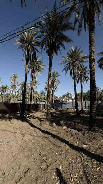 السلام عليكم 
 أرض للبيع المساحة 1000 متر  الواجهة 30  والباقي نزال ارض مربعة عباره عن واجهة طابو ملك صرف (25) سند منفرد  ب اسم شخص واحد تحويل اسهم وليس اقرار  ب اسم المشتري مباشر بالسند مذكور 1100 متر احولك اسهم الف و100 متر وواقع الحال تصفى الف وشوية… كربلاء طريق فندق البارون شارع السيدة زينب منطقة الجرية قرب سوق الجرية  عامود 235 تبعد عن مركز المدينة 7 كيلو السعر 140 قابل للتفاوض … ***********
