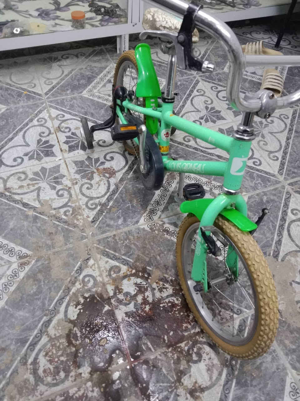 السلام عليكم بايسكل البيع باله سعر ٦٥ وابي مجال مكان ديوانية خصيمه شراي يتصل على هاذا رقم***********
