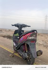 ماكس • سلف وهندل • بصره كرمت علي