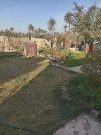 دونم زراعي • سند ٢٥ • طوريج