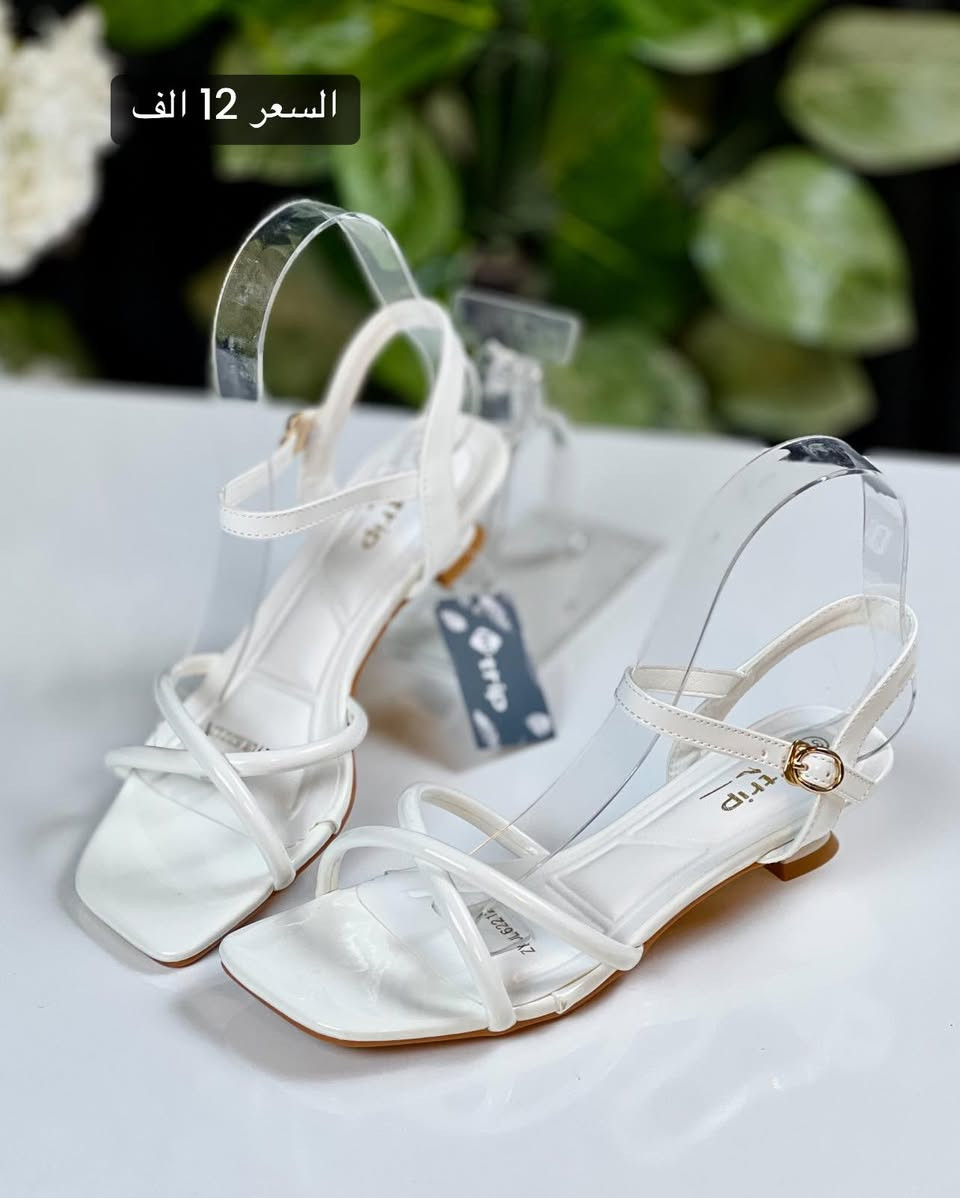 حذاء نسائي نازك ..ومريح♥️ كعب 2 سنتم..♥️ 

 السعر 12 الاف

القياسات 37.38.39.40.41

‏‎❇️ متوفرة خدمة توصيل 🚕 لجميع المحافظات ❇️

للحجز والاستفسار 
عن طريق الواتساب 📲 
‏‎
 *********** 
***********

🥳العنوان : نجف حي النصر شارع الاطفائيه 🥳
‏‎أوقات العمل من 12 ضهراً الى 9 مساءً⁩⁩⁩⁩⁩⁩⁩⁩⁩⁩⁩⁩⁩⁩⁩⁩⁩⁩⁩⁩⁩⁩⁩⁩⁩
