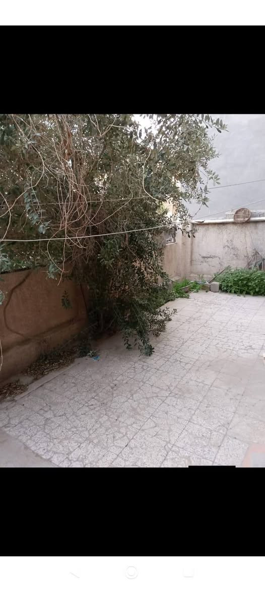 للبيع بيت 🏡 طابو صرف فى #شهداءالبياع مربع جامع 🕌 معاذ بن جبل مساحته #٢٠٠م واجهه ١٠يحتوي على #اربع_غرف_نوم 😴 وصاله وهول ومطبخ وخدمات وكراج وحديقة ومشتمل معزول يحتوي على غرفة نوم وصاله وخدمات ومطبخ للإستفسار الاتصال على الواتساب على الرقم 
***********
#الجميع
