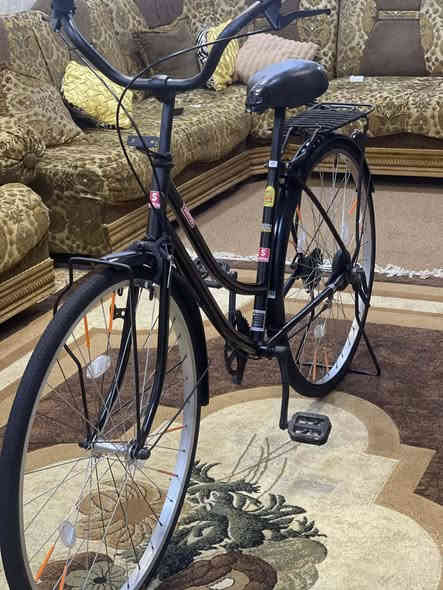 للبيع فقط 

باسكل نوع  سانتوس 

حجم 27

مصبوغ حراري فقط 

غراض كاملة 

السعر 100 بي مجال قليل 

مكاني موصل أيسر حي فلسطين

رقمي *********** شراي اتصل
