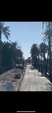 بستان • ٤ دونم • نجف كوفه