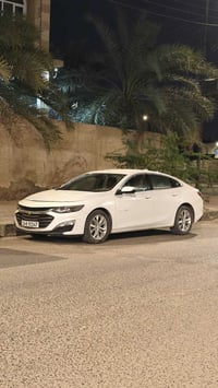 ماليبو ٢٠٢٢ • ضربة خلفية • مراوس بسنترا