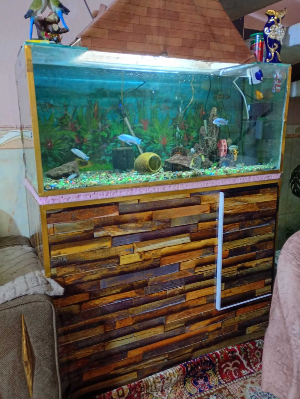 السلام عليكم حوض أسماك زينه للبيع مع كافة ملحقاتة قياس الحوض 120 ونزال 50 جام ابو العشرة السعر 165 الشراي يتصل ***********
