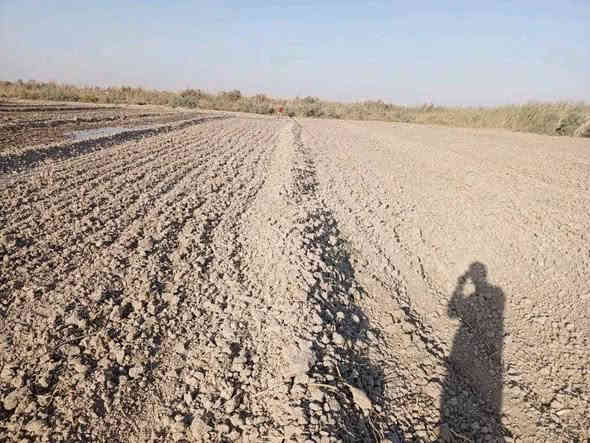 السلام عليكم يوجد عمال ترتيب حدائق تنضيف بساتين تكريب وتوذيف نخل  اقلاع فسائل شتال فسائل قطع اشجار او شتال اشجار 
وهذه رقمي ‏‪***********‬‏
