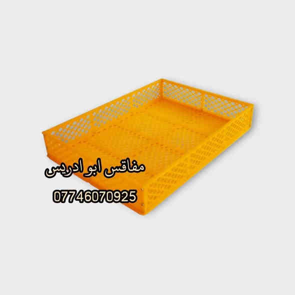 يالله متوفر سله تفقيس قياس ٣٦ في ٥٠  السعر ٦ ومتوفر توصيل لكل العراق للحجز راسل واتساب ***********‬‏ اوراسل الصفحه  وتدللون اخوكم المصنع ابو ادريس
