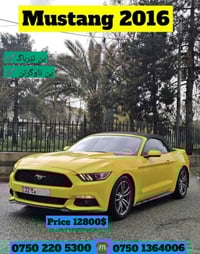 موستانغ • ٢٠١٦ • أربيل