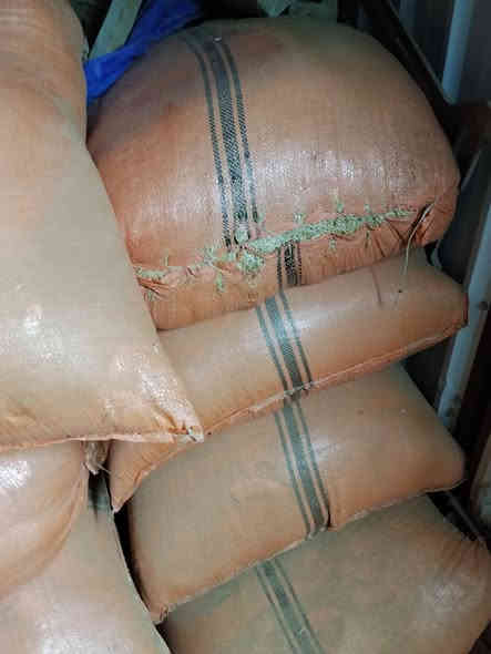 السلام عليكم يوجد تبن للبيع مكان ديالى بلدروز حجم لكونيا 90سعر زوج 12الف رقم ***********
