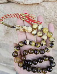 كهرب كلنگرادي حر طبيعي علاجي مكفول👑شاهد جبس معرك عسلي الخرز گيمر وعسل ...