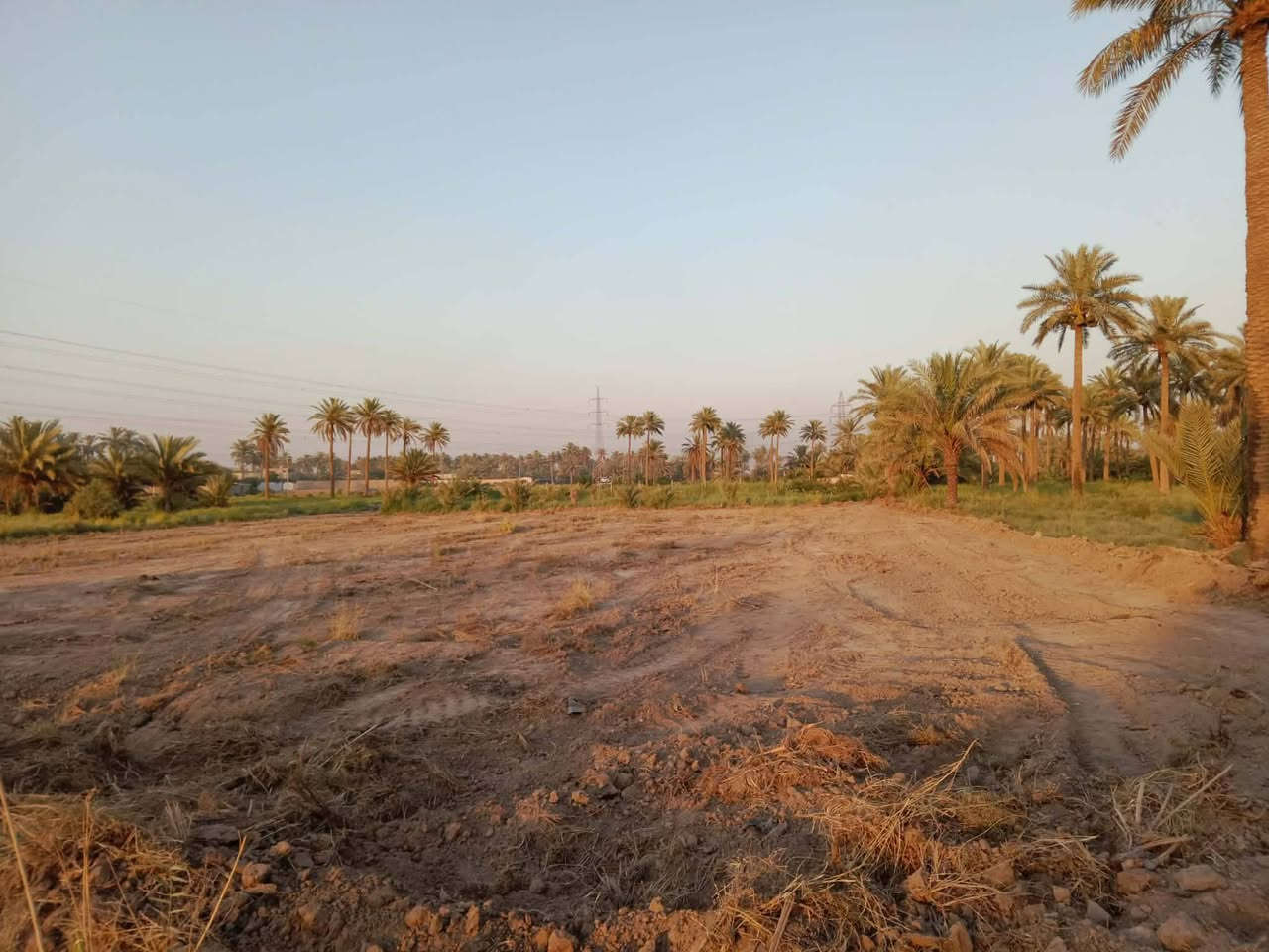 السلام عليكم قطعة ارض زراعيه المساحه دونم مكانه حله طريق البو عبود تبعد عن التبليط 150 الاستفسار عل رقم *********** تحويل مباشر
